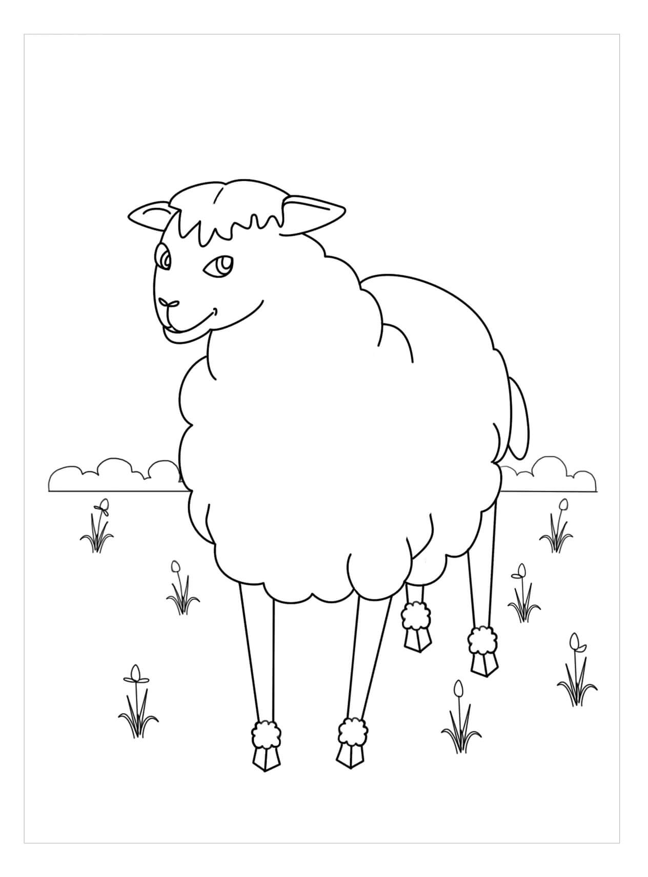 Dibujo de Impresionante Oveja para Colorear