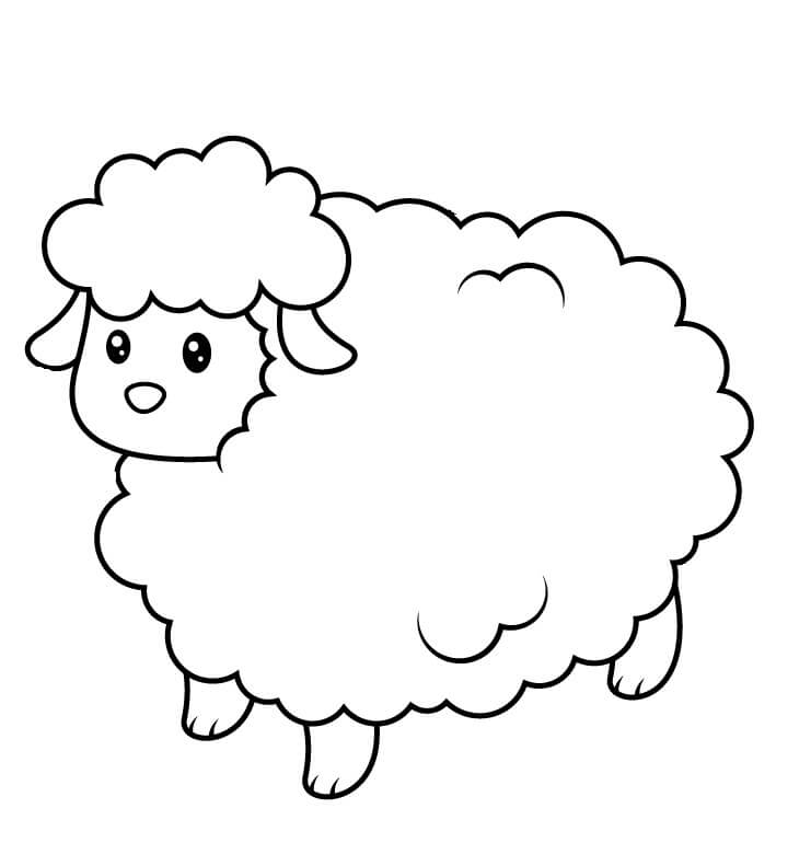 Dibujo de Linda Oveja bebé para Colorear