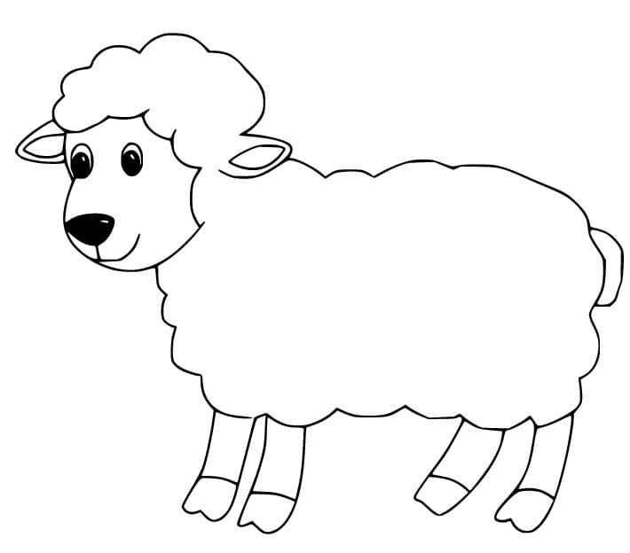 Dibujo de Oveja Normal para Colorear