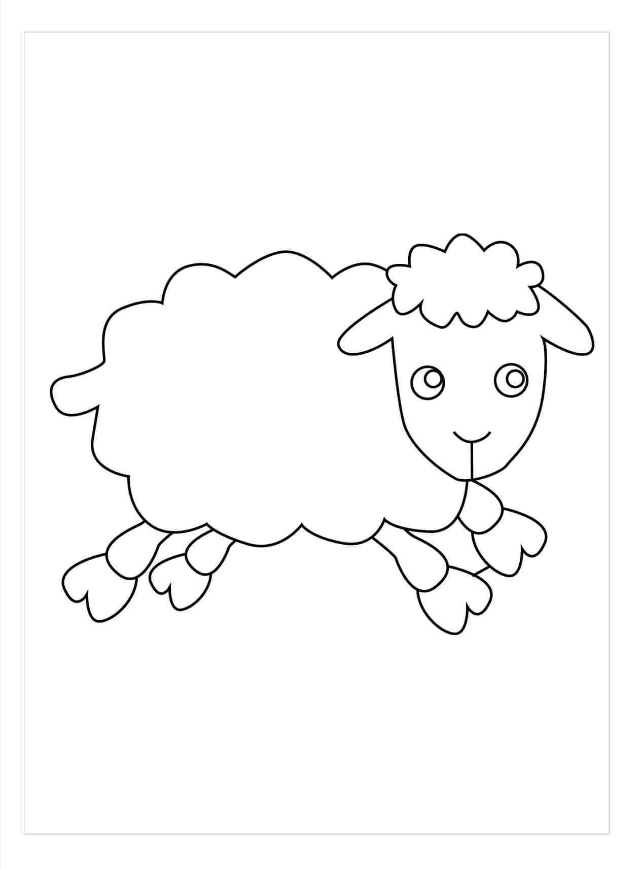 Dibujo de Oveja Sencilla para Colorear