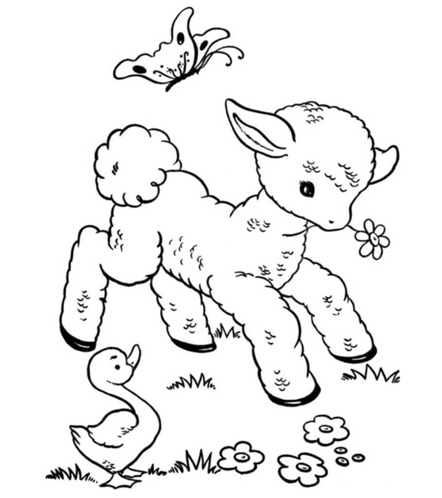 Dibujo de Oveja con Pato y Mariposa para Colorear