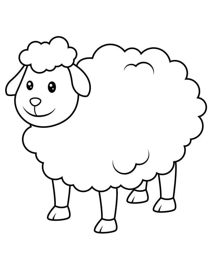 Dibujo de Ovejas Adorables para Colorear