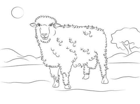 Dibujo de Ovejas imágenes Gratis para Colorear