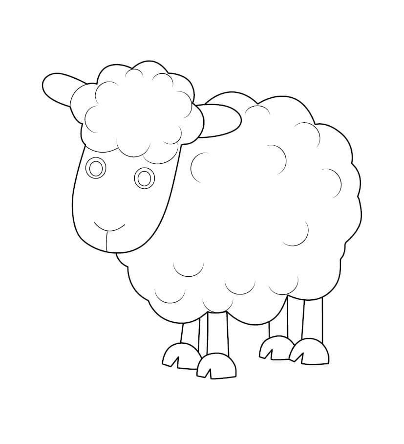 Dibujo de Ovejas Perfectas para Colorear