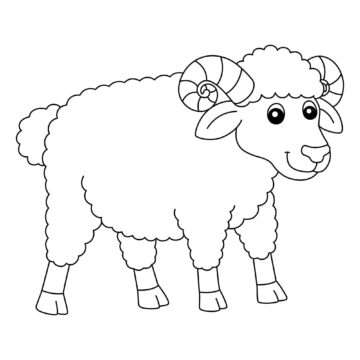 Dibujo de Ovejas Sonrientes para Colorear