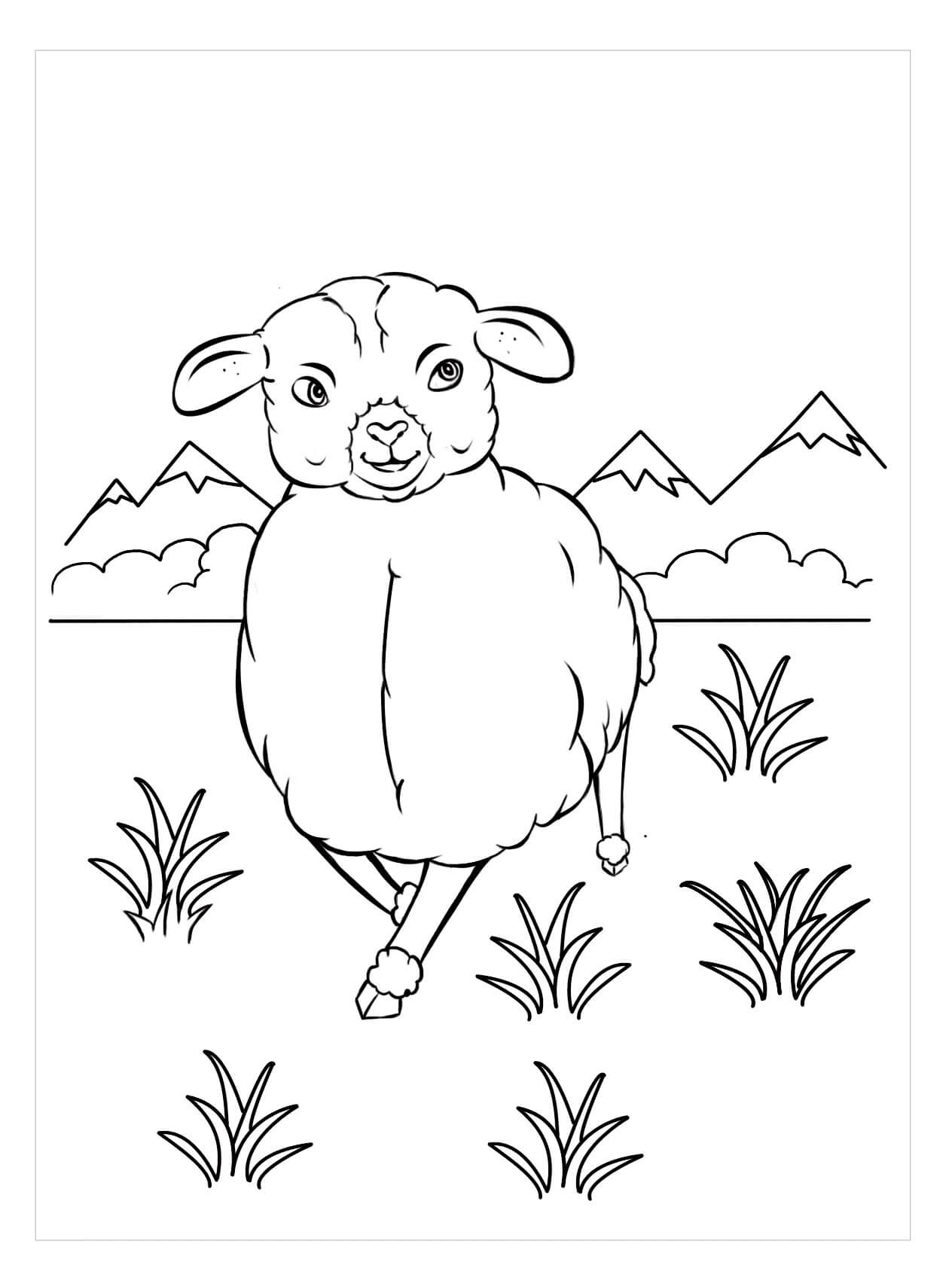 Dibujo de Ovejas con Hierba para Colorear