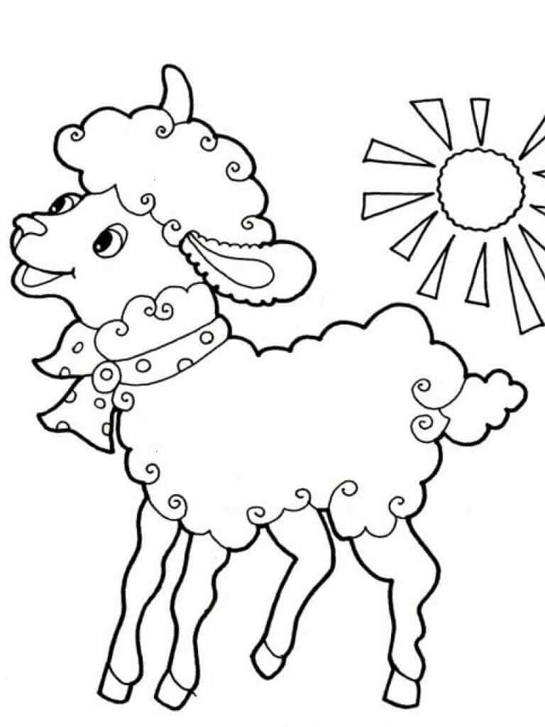 Dibujo de Ovejas de Dibujos Animados para Colorear