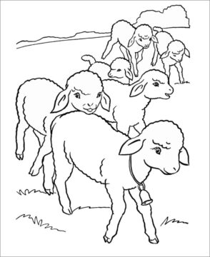 Dibujo de Ovejitas para Colorear