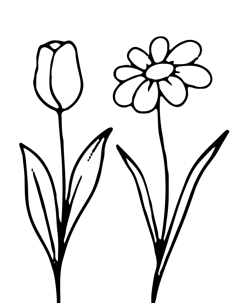 Dibujo de Botanical Floral Coloring Pages para Colorear
