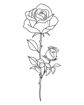 Dibujo de Rose Floral Coloring Pages para Colorear