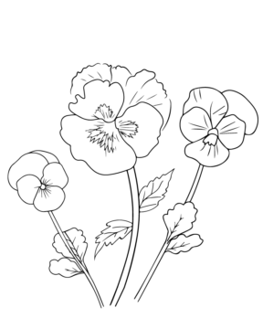Dibujo de Spring Floral Coloring Pages para Colorear