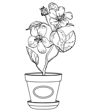 Dibujo de Vintage Floral Coloring Pages para Colorear