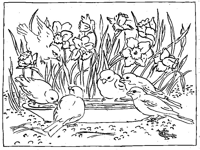 Dibujo de Paisaje de Primavera para Colorear