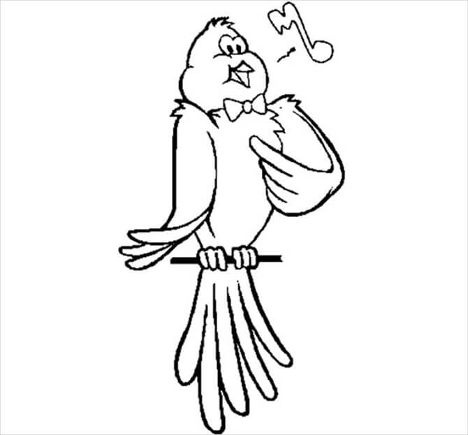 Dibujo de Canario Cantando para Colorear
