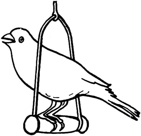 Dibujo de Canario Sencillo para Colorear