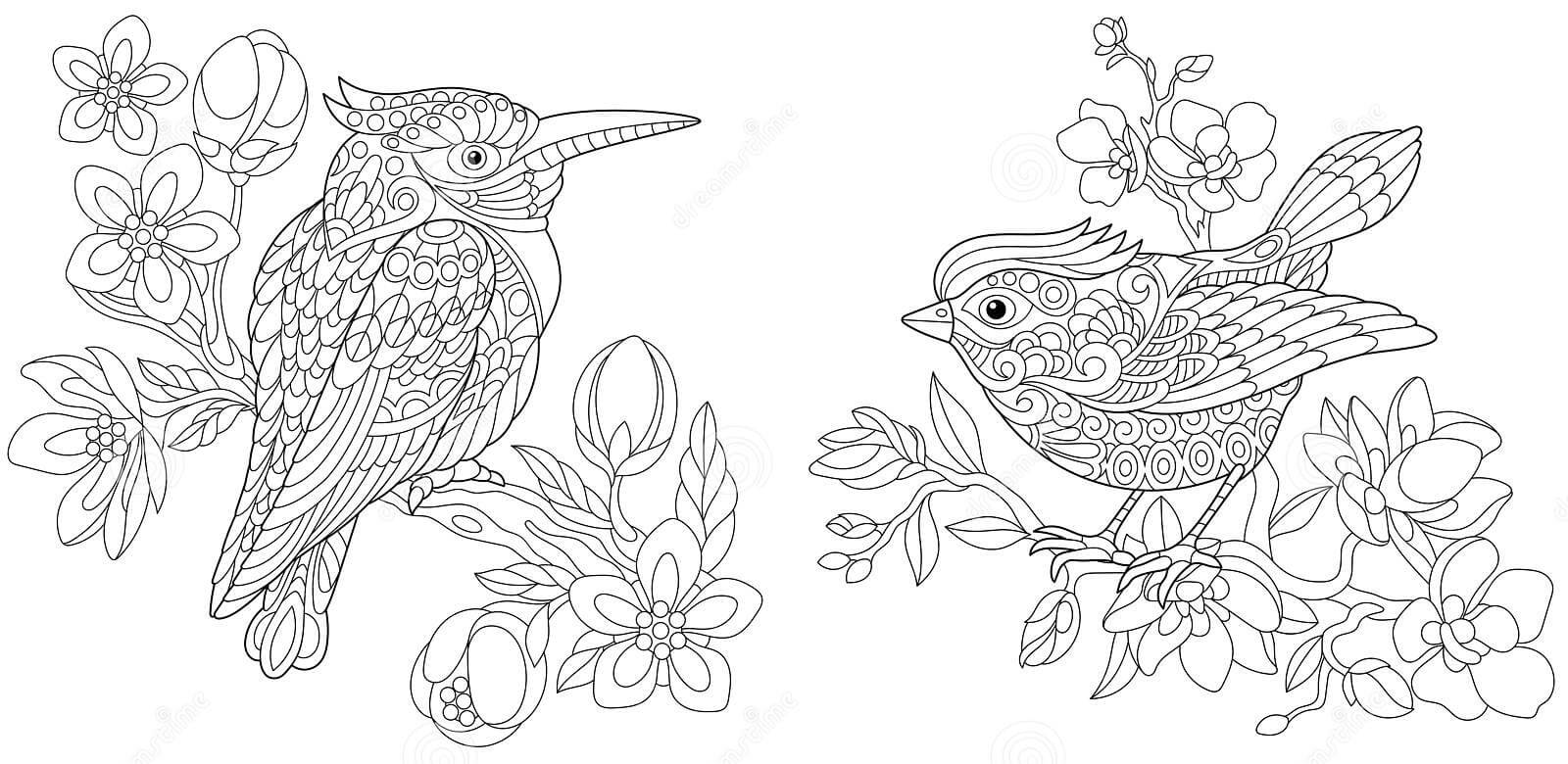 Dibujo de Canario para Adulto para Colorear