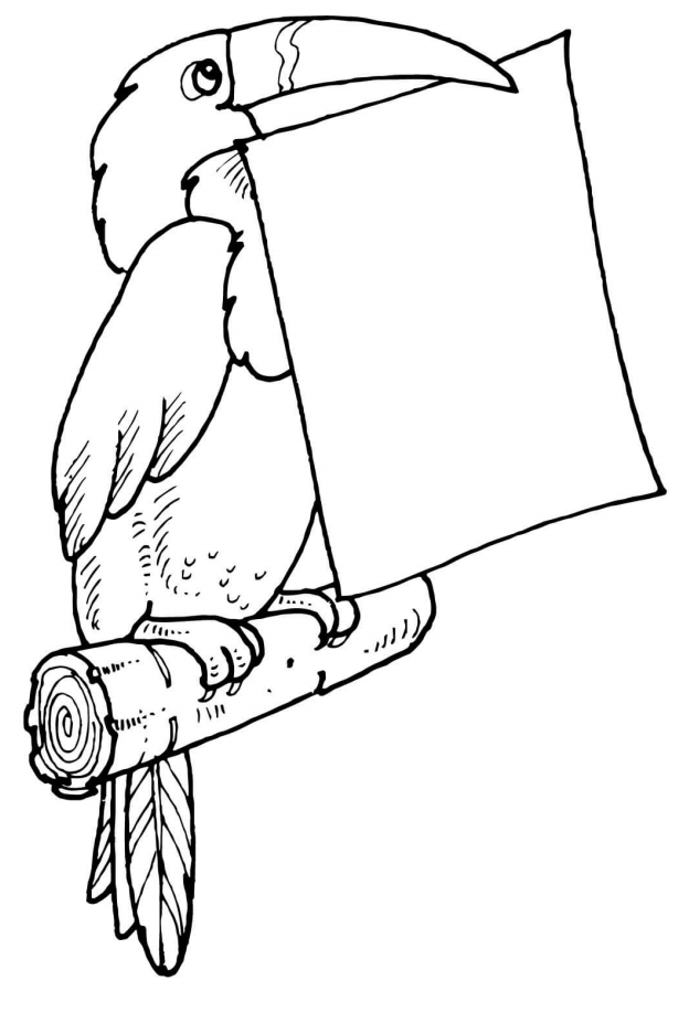 Dibujo de Carta de Tenencia de Tucan para Colorear