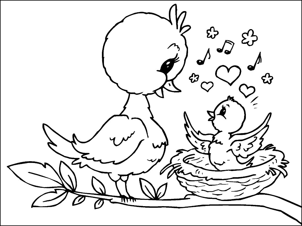 Dibujo de Pajarito y Pajarito para Colorear