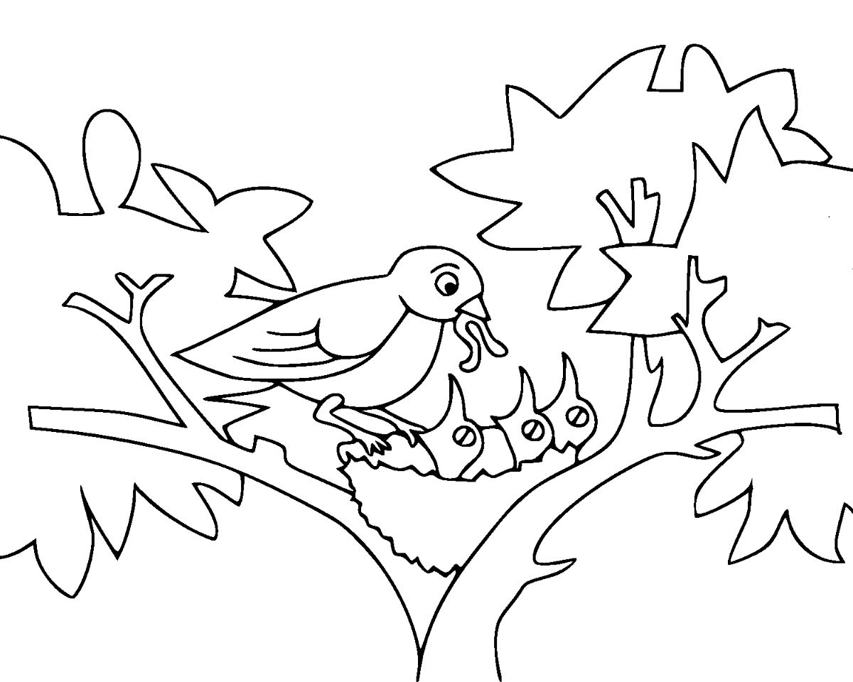 Dibujo de Pajaritos para Colorear