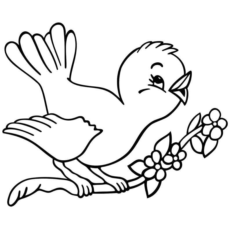 Dibujo de Pájaro en Rama para Colorear