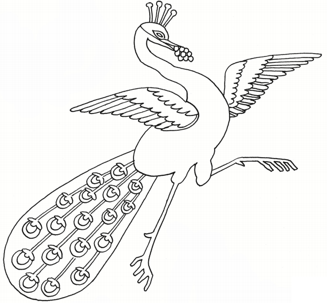 Dibujo de Pavo Verdadero Bailando para Colorear