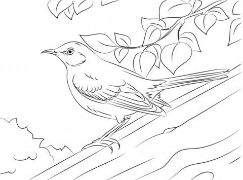 Dibujo de Ruisenor Sobre Tronco de árbol para Colorear