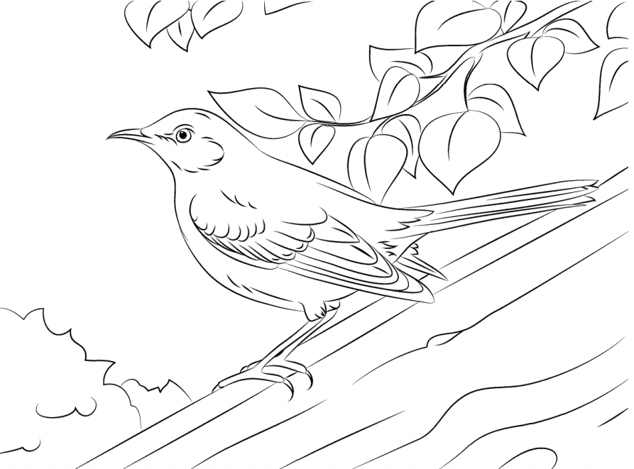 Dibujo de Ruisenor Sobre Tronco de árbol para Colorear