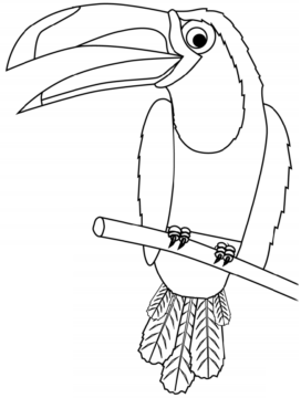 Dibujo de Tucan en Rama para Colorear