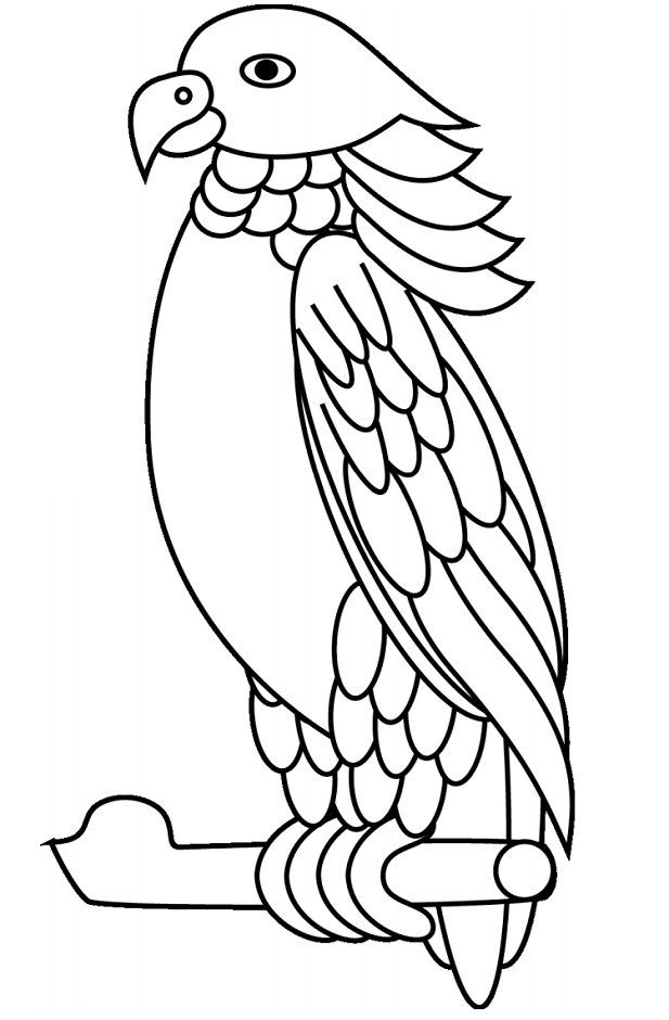 Dibujo de Un Loro Sisserou para Colorear