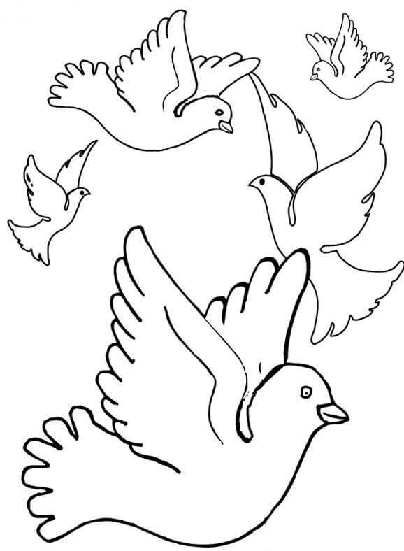 Dibujo de Bandada de Palomas para Colorear