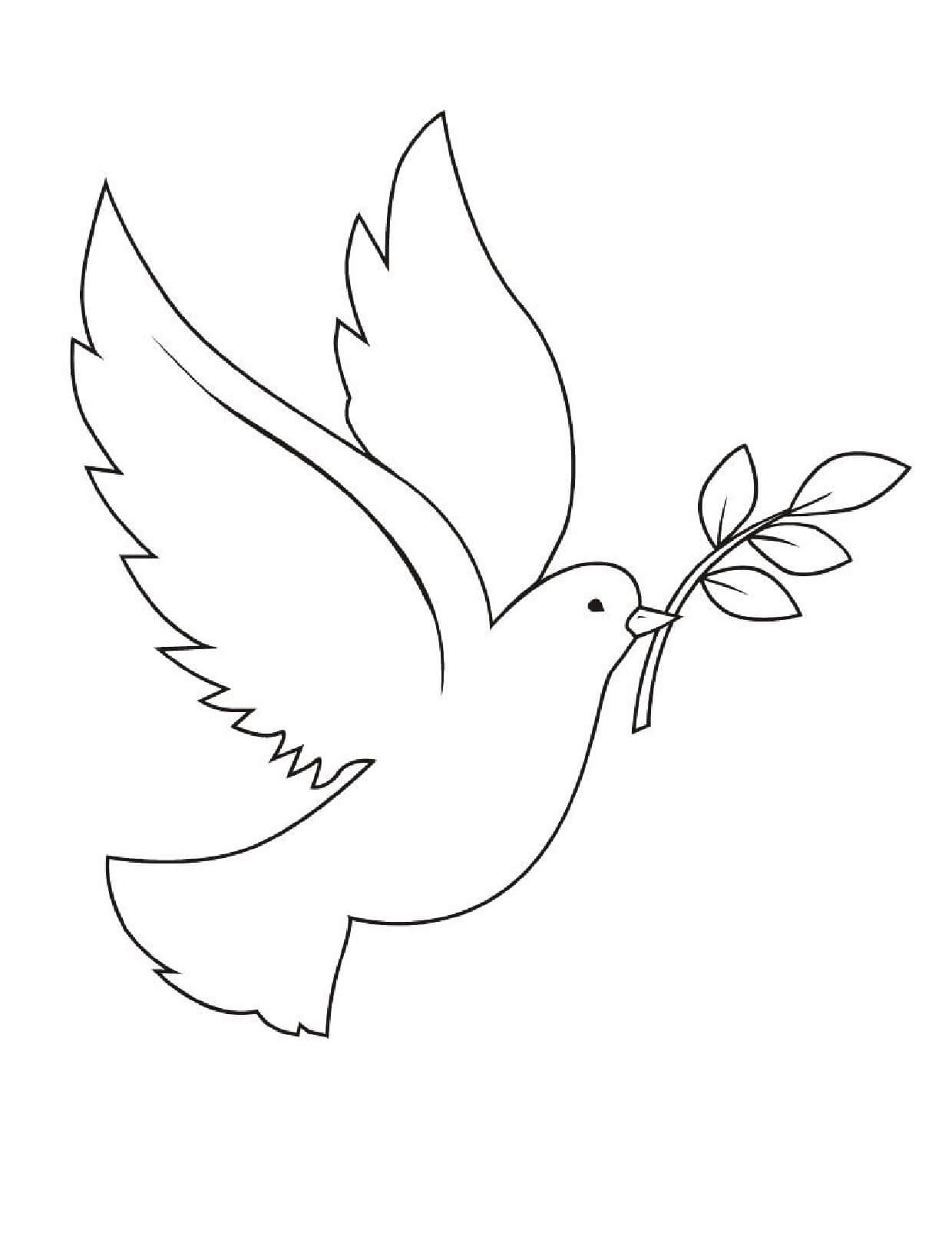 Dibujo de Paloma con Rama pequeña en Su Pico para Colorear