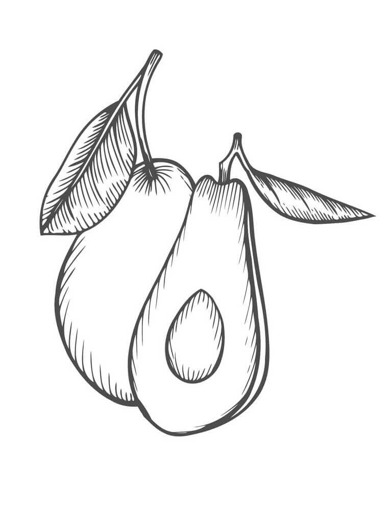 Dibujo de Aguacate y Medio 8 para Colorear