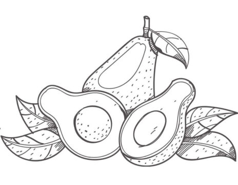 Dibujo de Aguacates 1 para Colorear