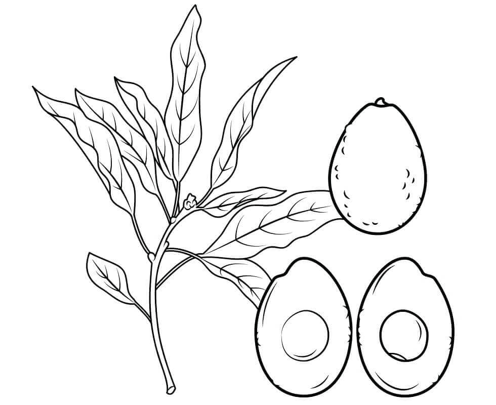 Dibujo de Aguacates para Colorear