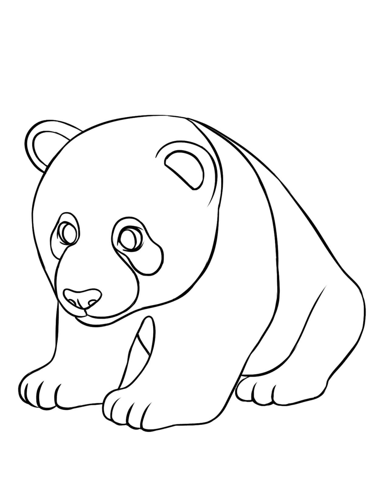Dibujo de Panda Impressionante para Colorear