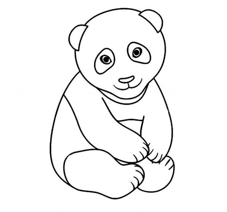 Dibujo de Panda Sentado para Colorear