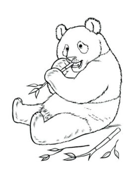 Dibujo de Panda Simples para Colorear