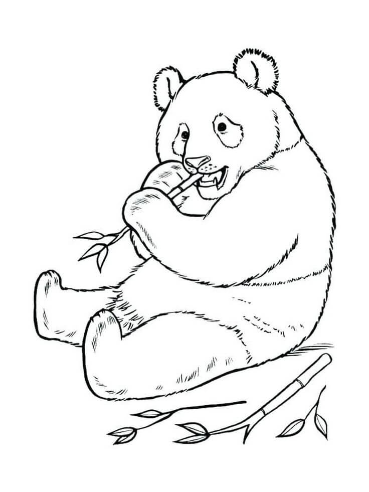 Dibujo de Panda Simples para Colorear