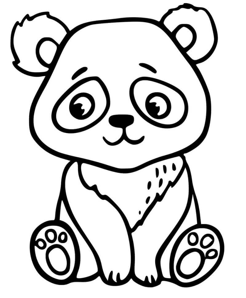 Dibujo de Pequeño Panda para Colorear
