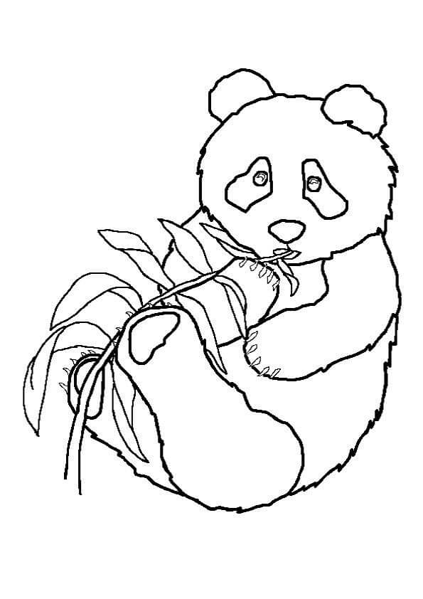 Dibujo de Buen Panda para Colorear