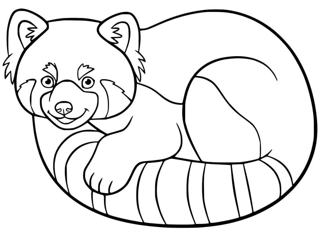 Dibujo de Panda Acostada para Colorear