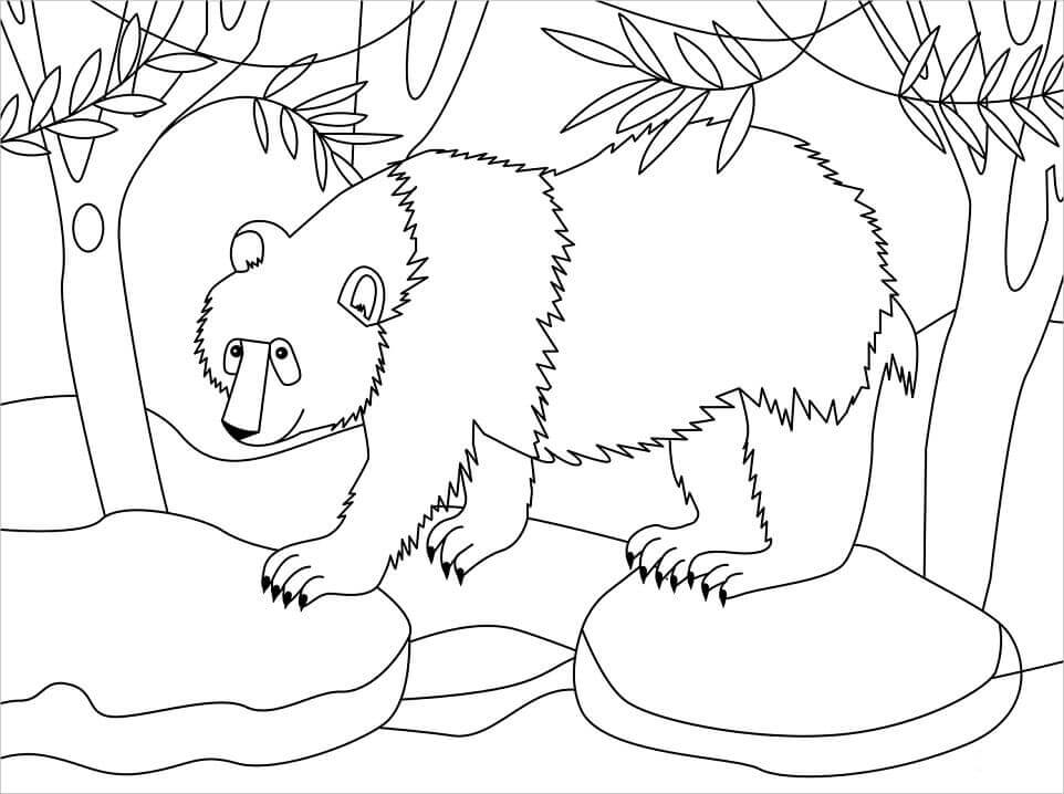 Dibujo de Panda en la Roca para Colorear
