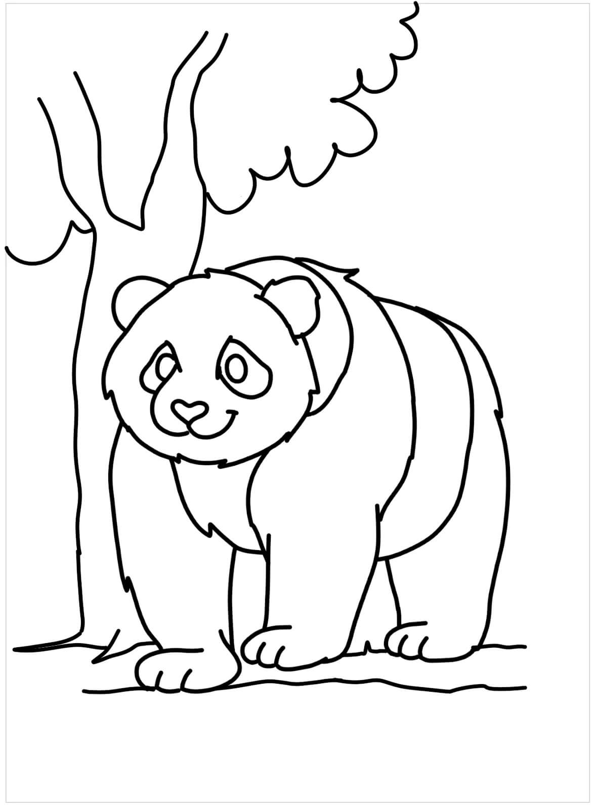 Dibujo de Panda Gigante para Colorear