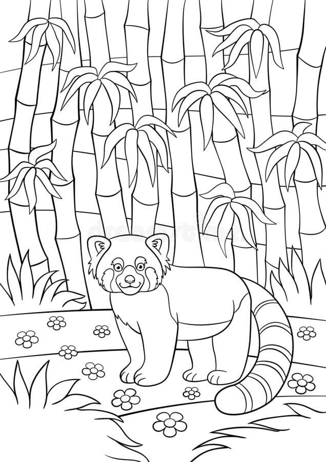 Dibujo de Panda Rojo en la Jungla para Colorear