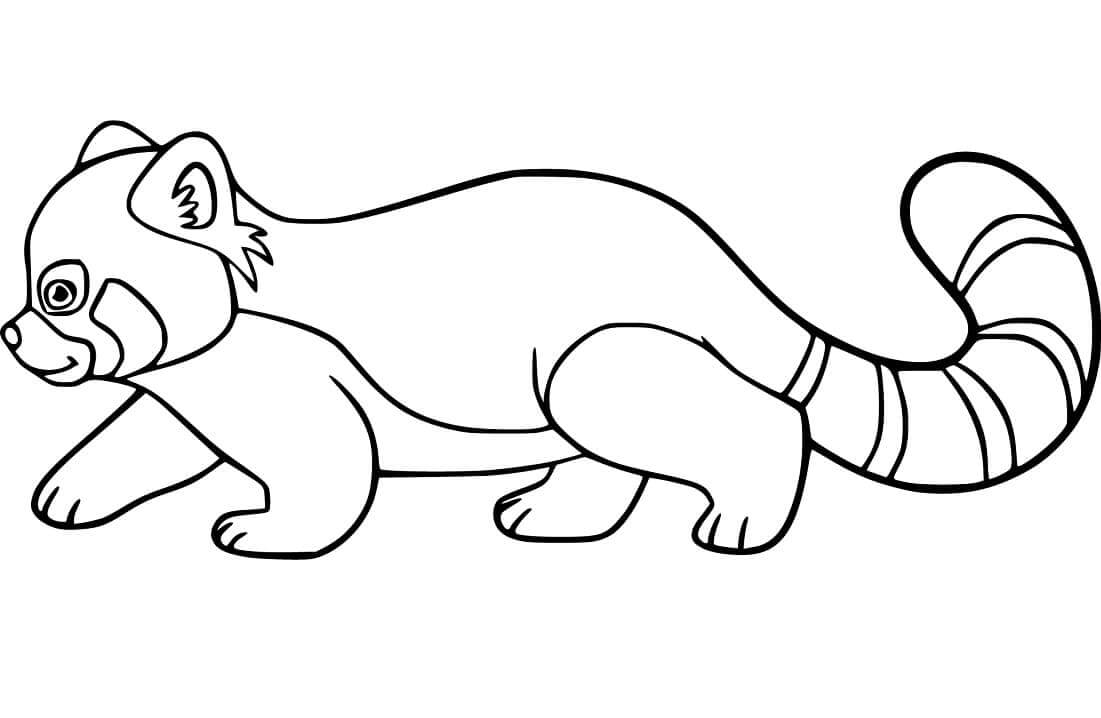 Dibujo de Panda Rojo para Colorear