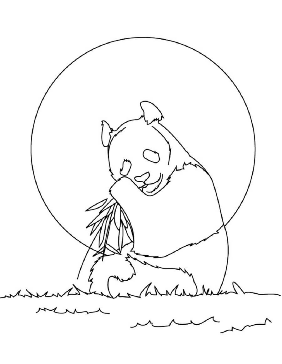 Dibujo de Panda Sentado para Comer bambú para Colorear