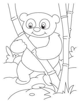 Dibujo de Panda Sonriente con árbol de bambú para Colorear