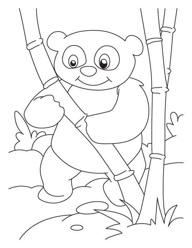 Dibujo de Panda Sonriente con árbol de bambú para Colorear