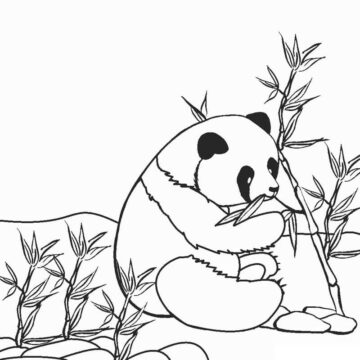 Dibujo de Pequeño Panda Comiendo bambú para Colorear