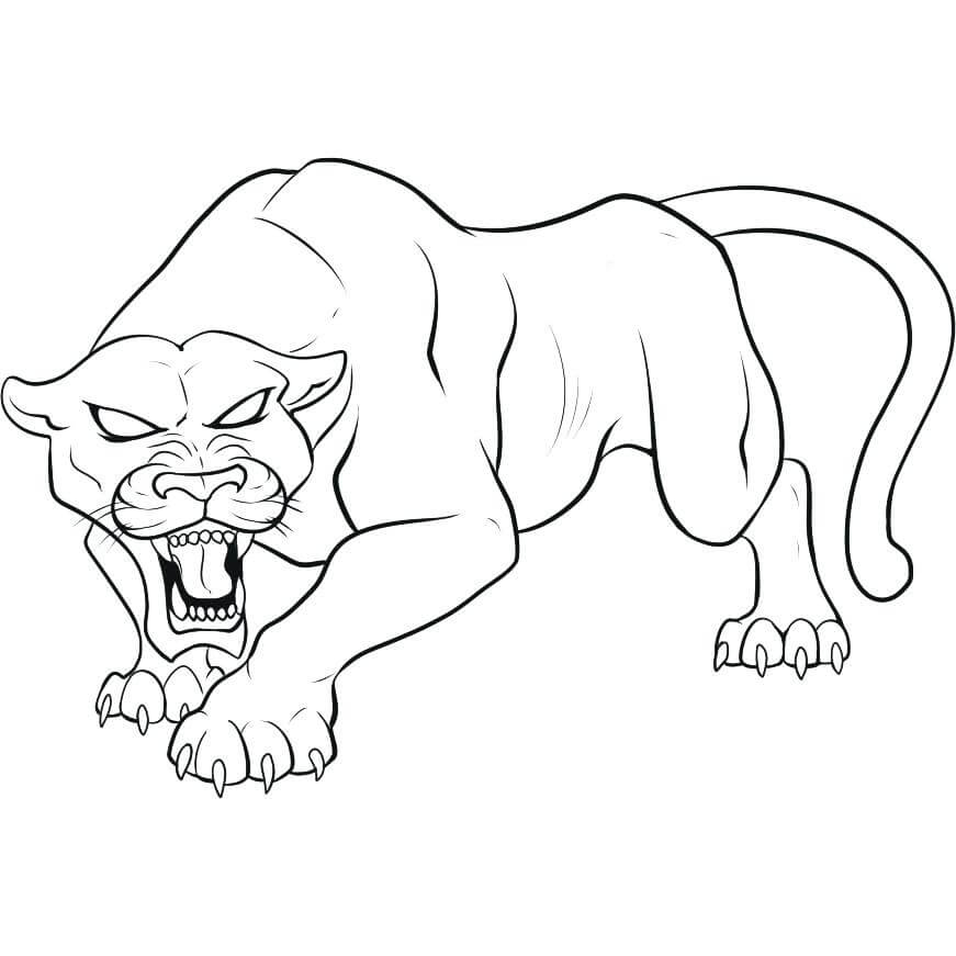 Dibujo de Pantera Enojado para Colorear